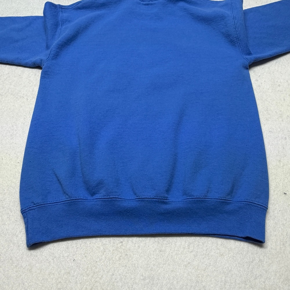 Detroit Lions Hoodie Sweatshirt NFL Team Apparel Graphic Blue Cotton Blend Small - Picture 13 of 13
